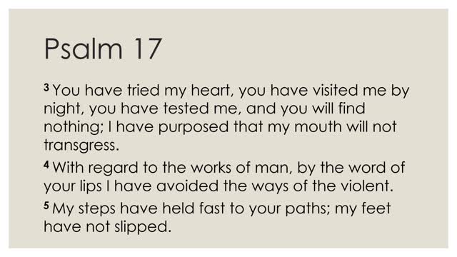 Daily Devotion Psalm 17