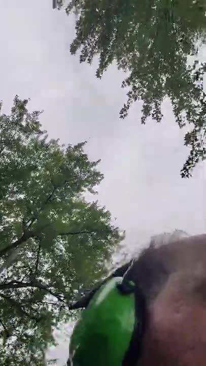 'Sick. Of. It.' (September 2020)