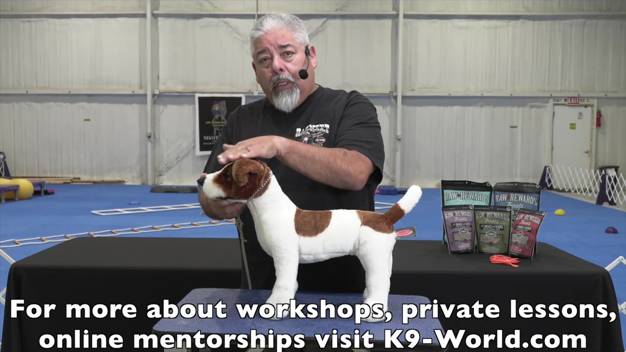 Hand Stacking Show Dogs with Eric Salas