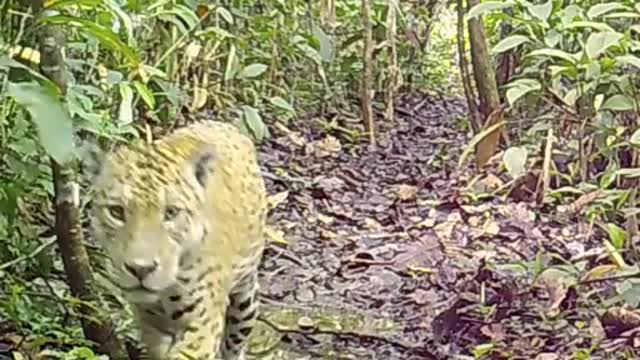 Our best videos with its natural ambient sound