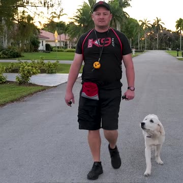 Practicing Down in Motion