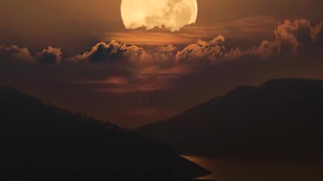 "Describe the scene with your cultural level" # Moon # Ancient Poetry