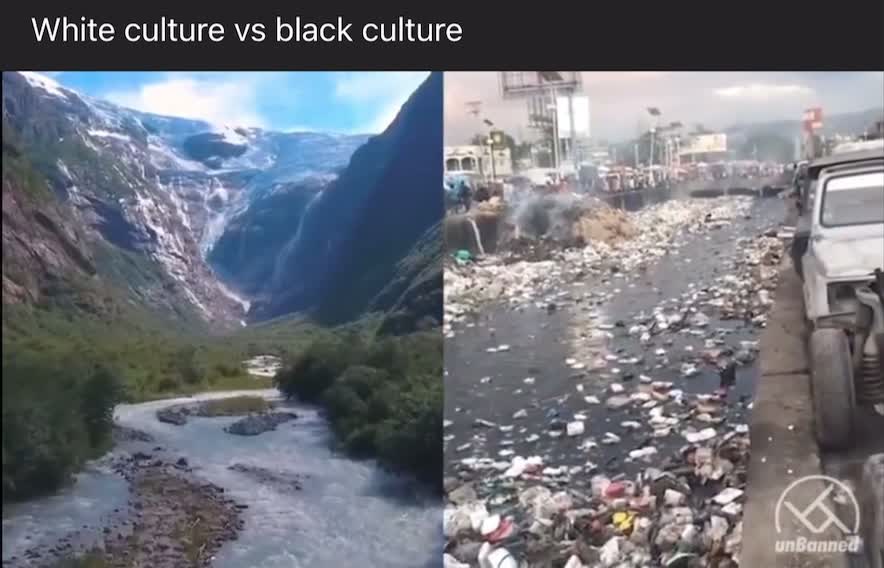 White culture vs black culture