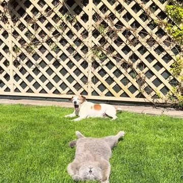 That’s me during my college days 😂😂😂