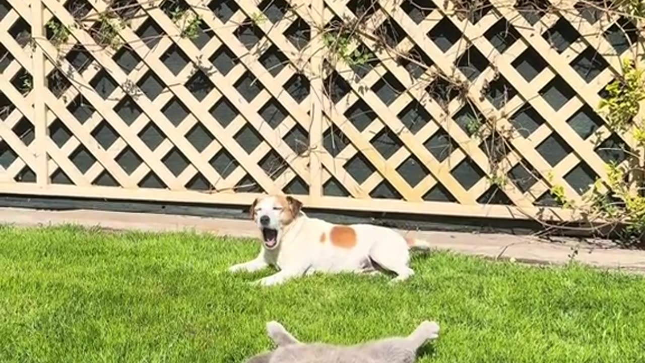 That’s me during my college days 😂😂😂