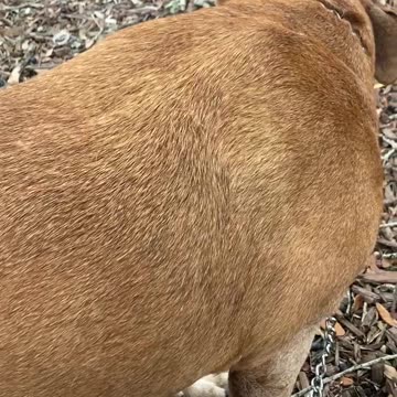 This is in Tampa when we were stranded with a broken Jeep waiting to buy the moldy machine