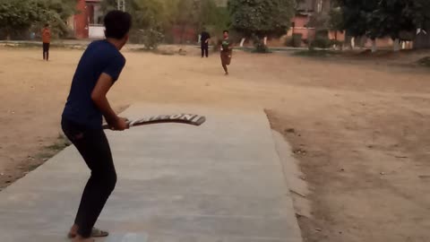 Cricket lover