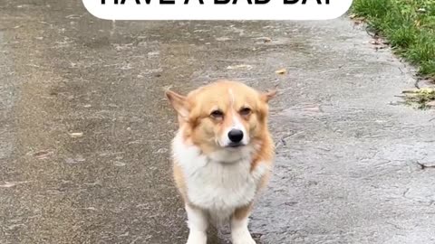 try again tomorrow