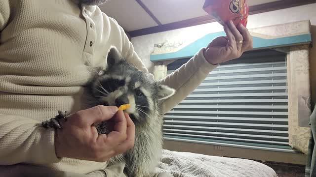 Rodney LOVES her Cheetos