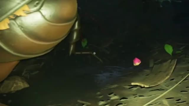 How To Handle A Black Ox Beetle In Grounded
