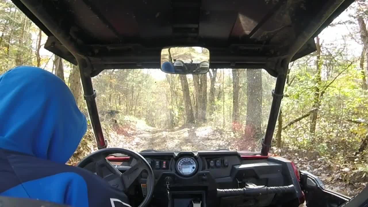 DIRTY TURTLE 11/3/18 P4