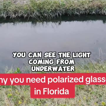 A glasses saved this man's life against crocodiles in Florida