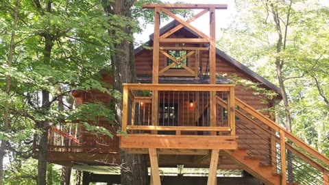 Beautiful tree house's