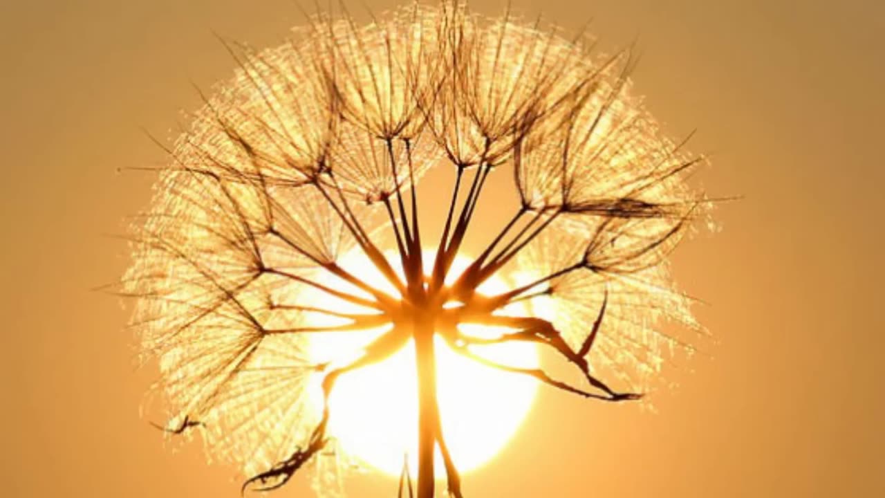 2 minutes of relaxing music,2 minute meditation music,2 minutes meditation,music 2 minute