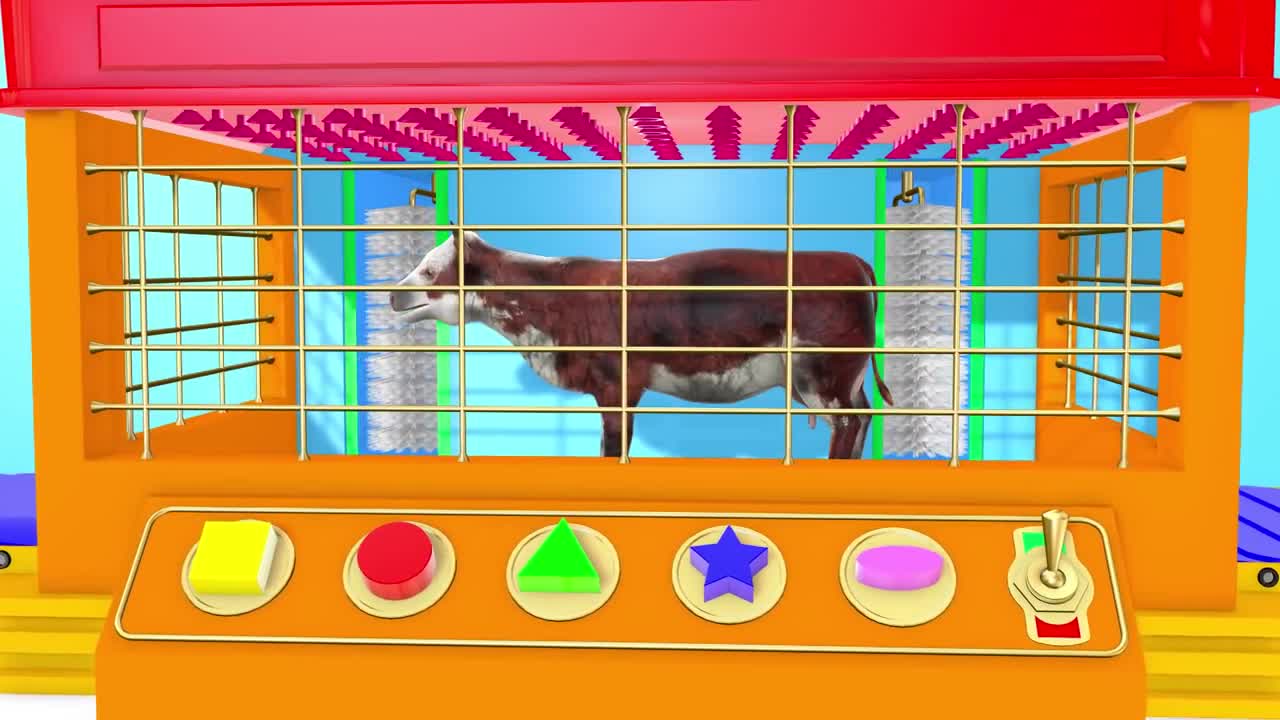 Fun Cow for Kids | Shapes | Animals Cow for Children10