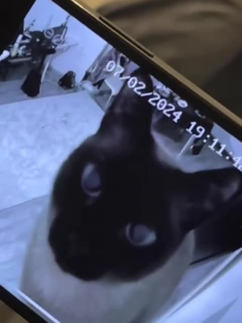 I see you eye spy 😂😂