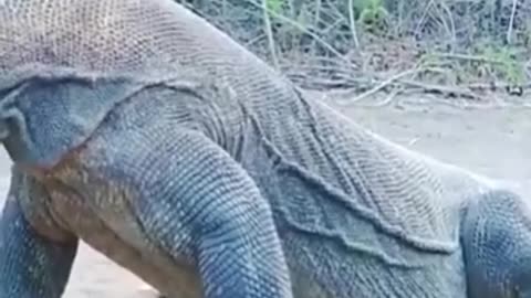 A hunter's style of huntingA hunter's style of hunting