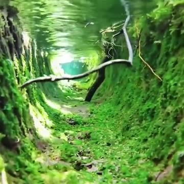 La nature et le calme