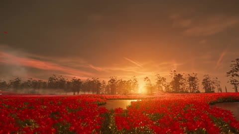 Tired of life, always want some gentle dream.