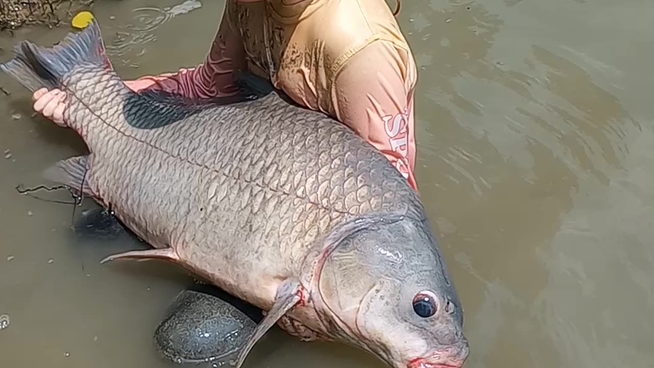 Jasmine releasing her record buffalo