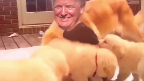 🤗JUST BECAUSE..WE LOVE HIM AS MUCH AS THESE PUPPIES DO
