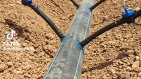 Drip irrigation