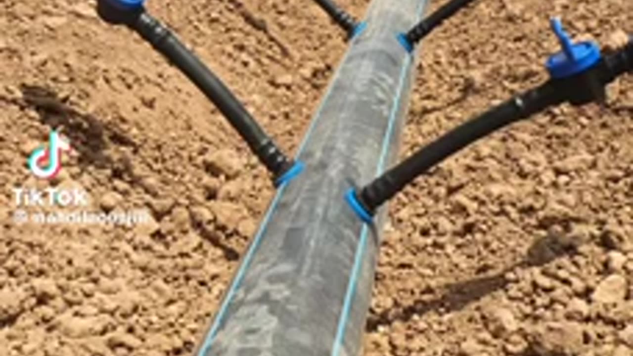 Drip irrigation