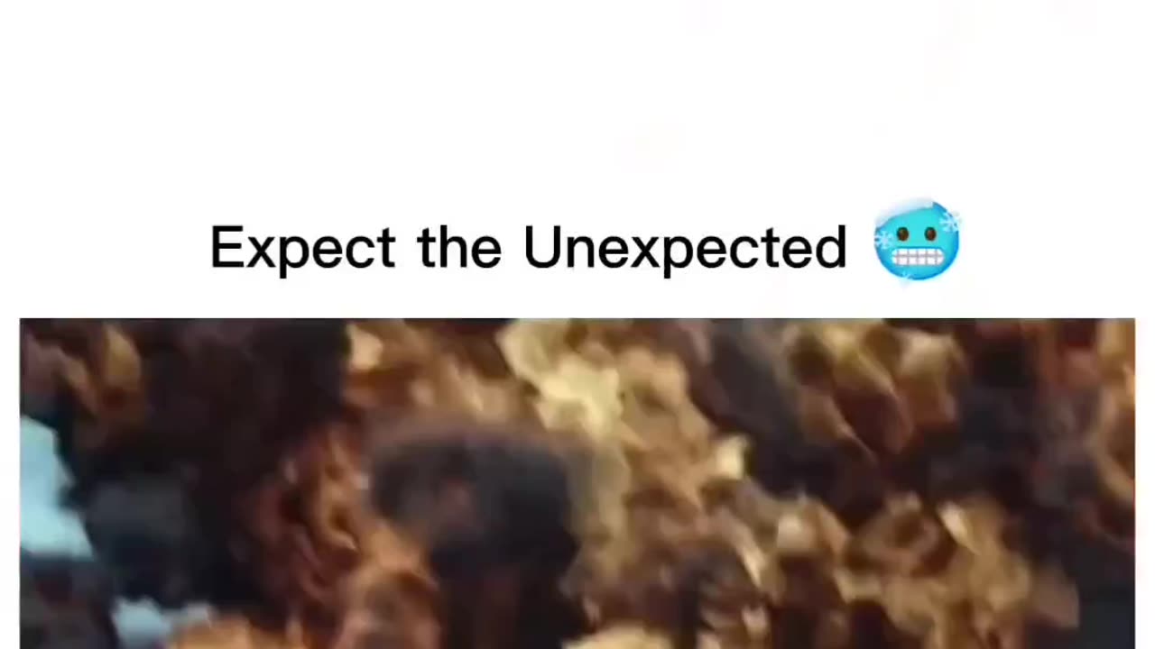 Expect the Unexpected 🥵 🥶