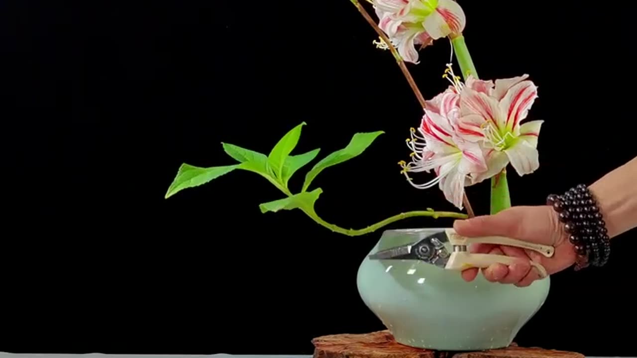 Flower ASMR