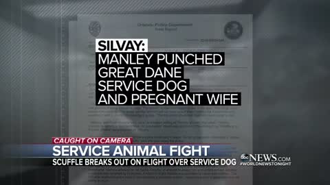 2 families outraged after incident with service dog on flight