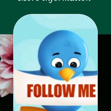 Smoothie Fat Burning fast