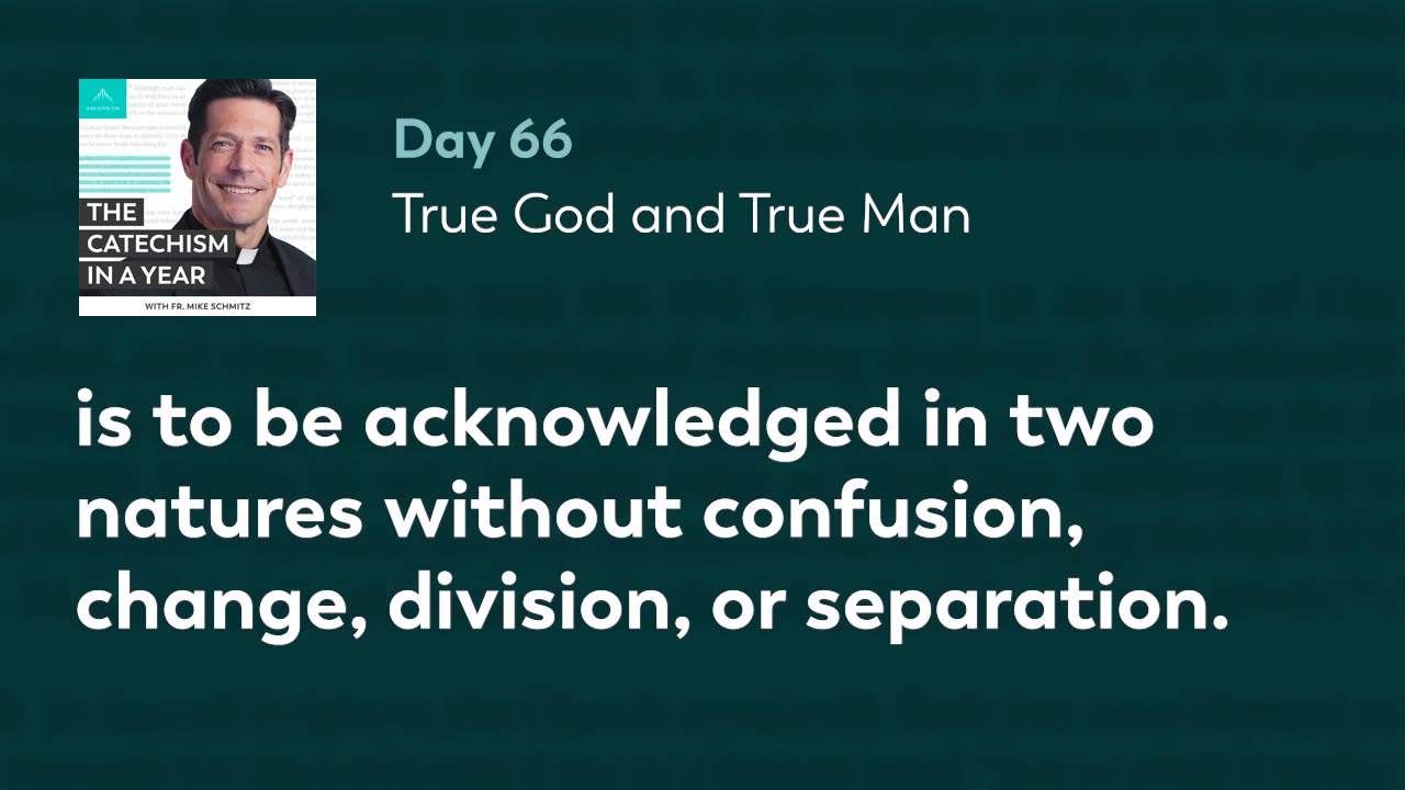 Day 66: True God and True Man — The Catechism in a Year (with Fr. Mike Schmitz)