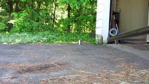 1000 FPS Firecracker Pellet Gun HACK