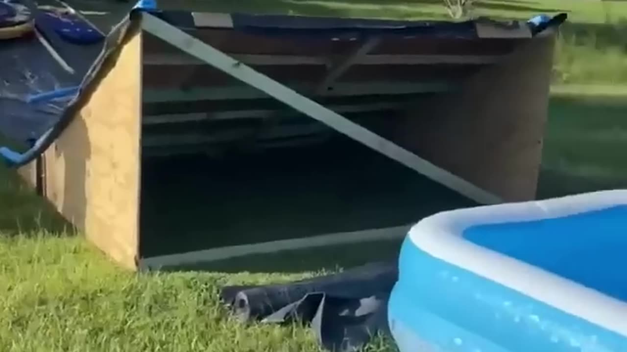The end 😂😂😂 #funny #fails #shorts #viral #idiotsfolder 3