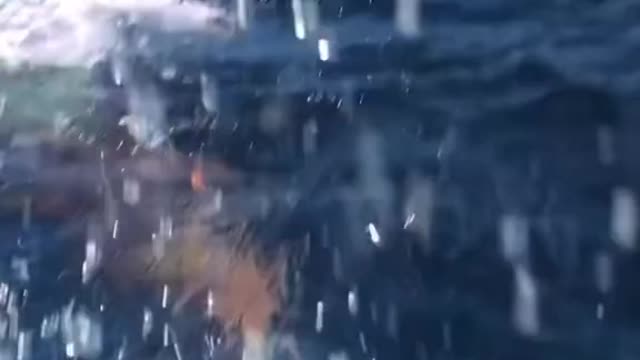 Would you do this 🧐🤯