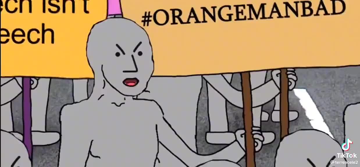 Liberal NPC - Orange Man Bad