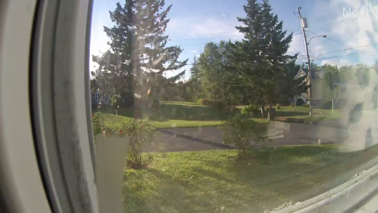 Wheelie caught on nest cam