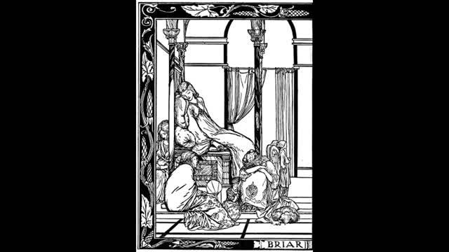 Grimms' Fairy Tales | 7. Briar Rose | Audiobook