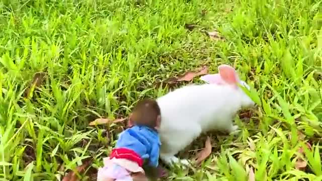 as the forest is returned by Baby Monkey Bon Bon by farm car_Cut