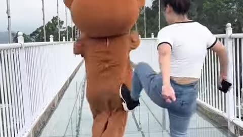 Funny video | Funny Bear | KickAss