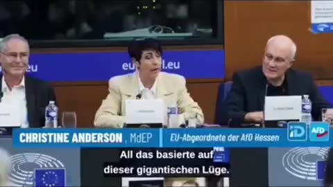 christine-anderson-eu-abgeordnete-hessen-afd-war-eine-gigantische-luege