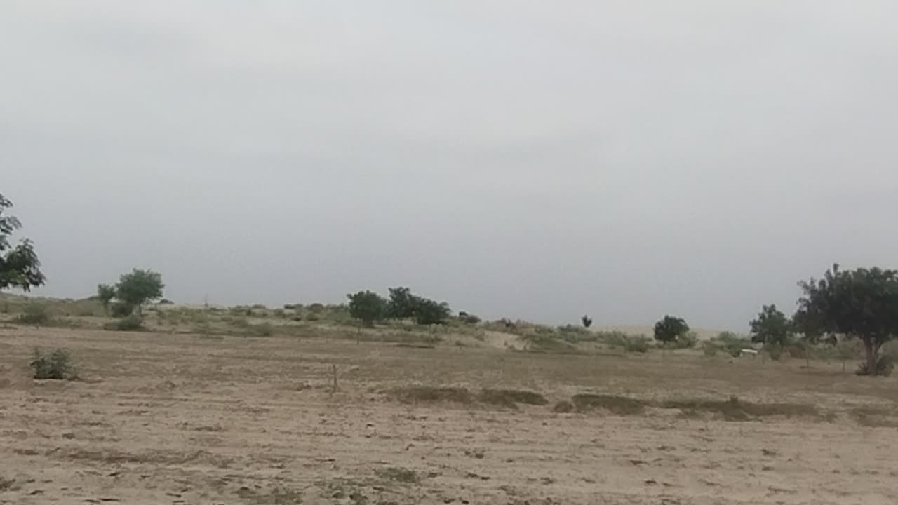 Jangal