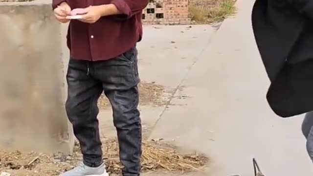 funny videos