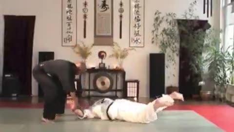 World Martial Arts Center Brooklyn N.Y.