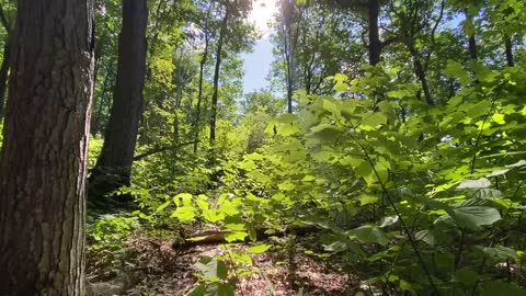 PURE BEAUTY AND PEACE