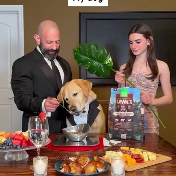 Are you THIS dog obsessed?