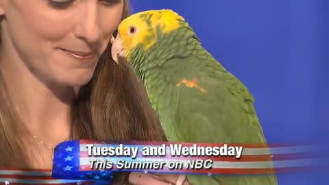 What? Echo The Talking Bird 🕊️ On AGT !