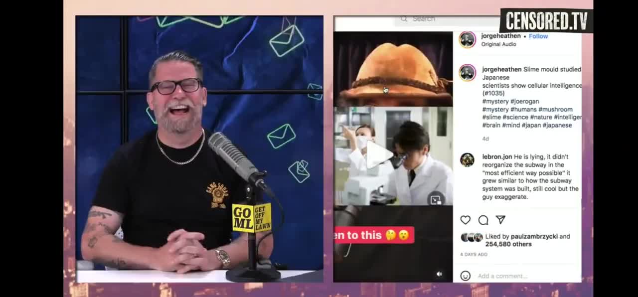 Gavin McInnes - Ryan does an asian impersonation