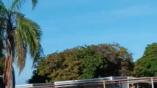 Campo De Concentração Do Lula / Alckmin - Patriotas Orando