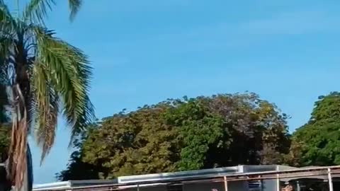 Campo De Concentração Do Lula / Alckmin - Patriotas Orando